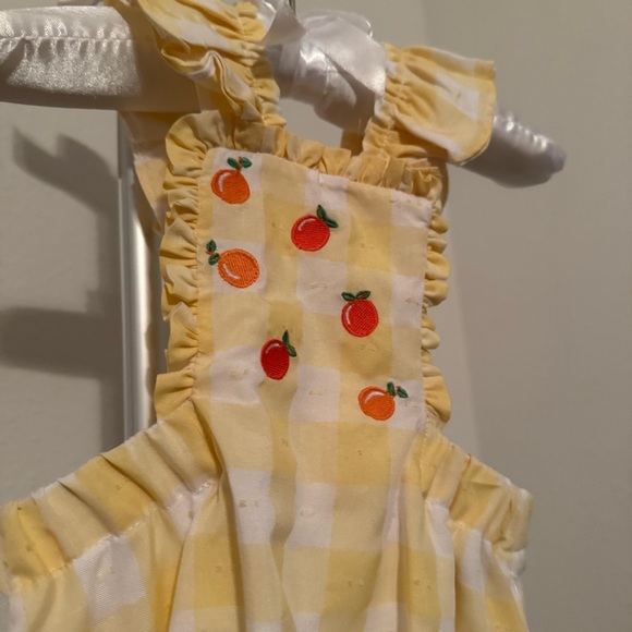 NWT Edgehill Collection Baby Girls Embroidered Oranges Gingham Bubble Sz 9M - Picture 4 of 8